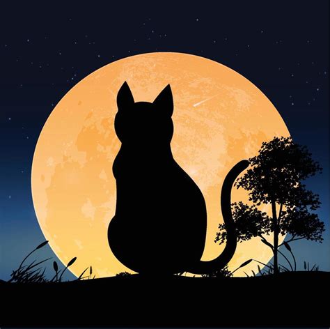   ¿El Gato de la Luna?: Explorando una Historia Turca del Siglo XV